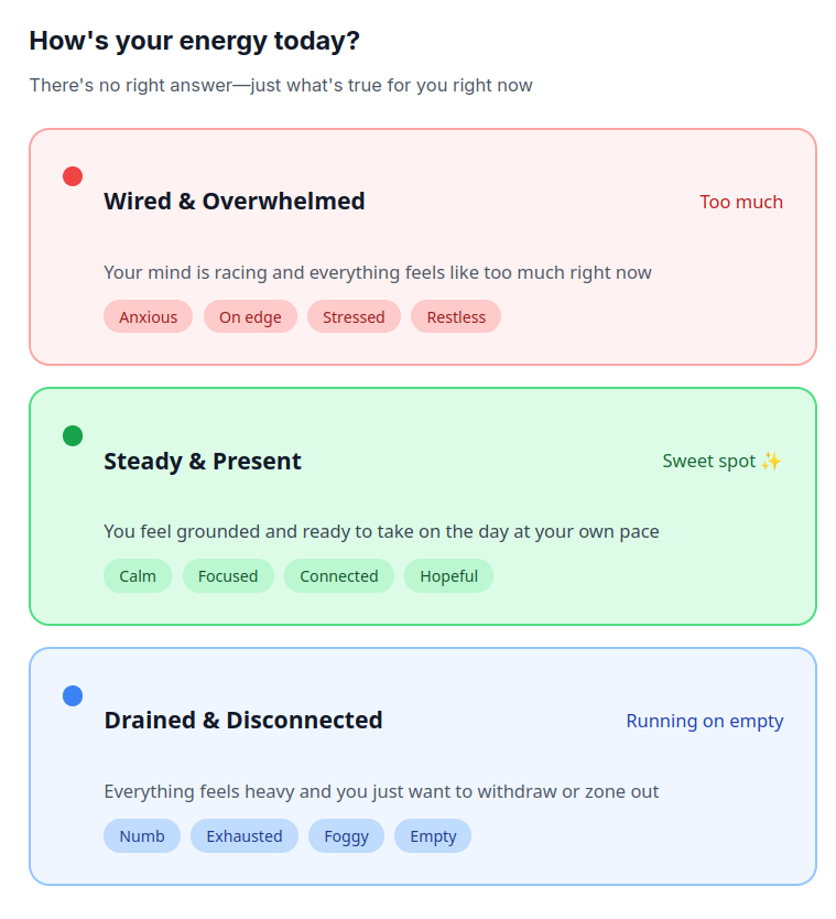 Daily check-in showing energy levels and nervous system state tracking